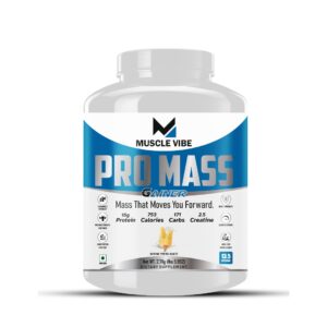Pro Mass 2.7Kg Kesar Pista Kulfi Flavour